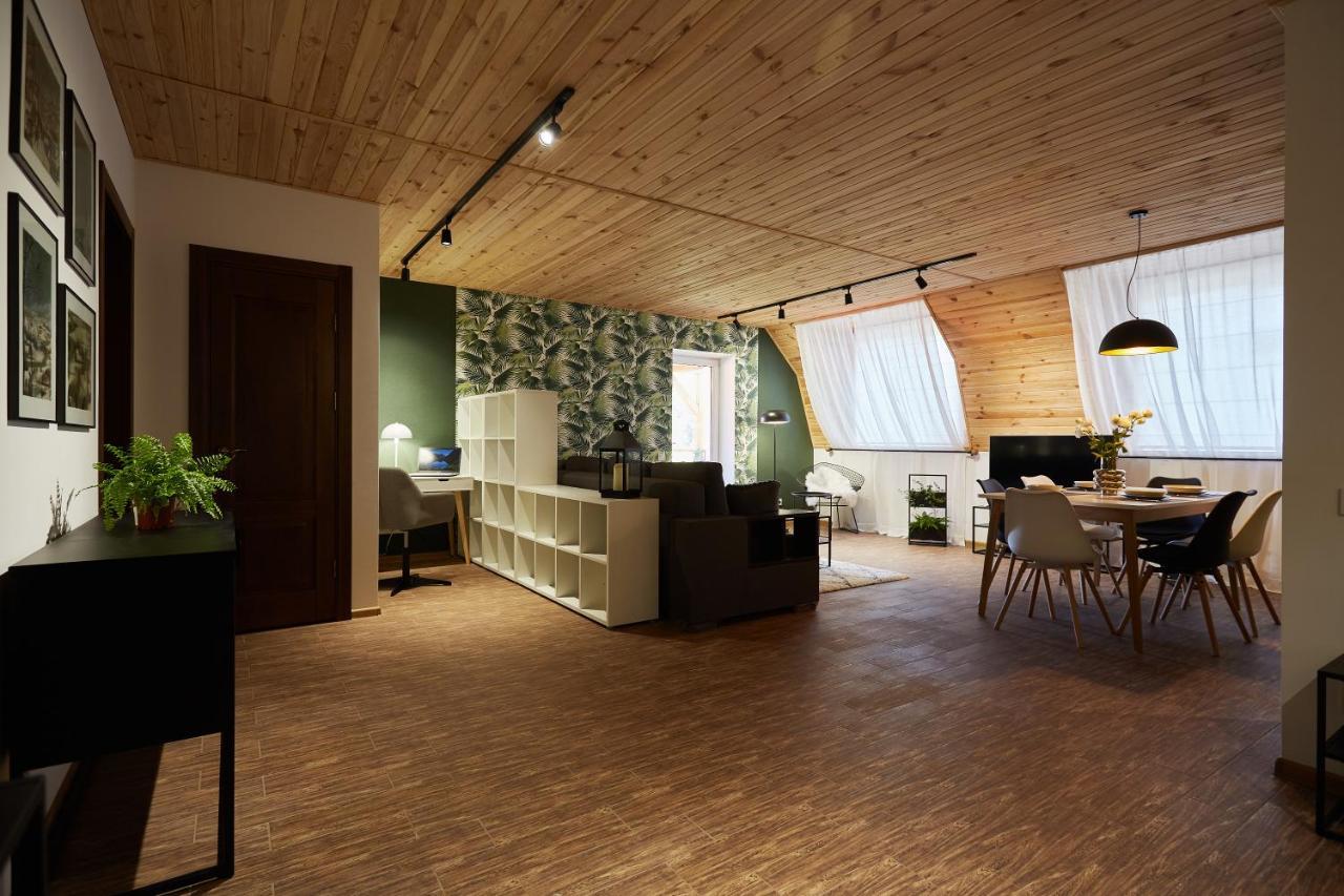 Scandinavian Hygge Canyon View Lounge Apartment Kamianets-Podilskyi